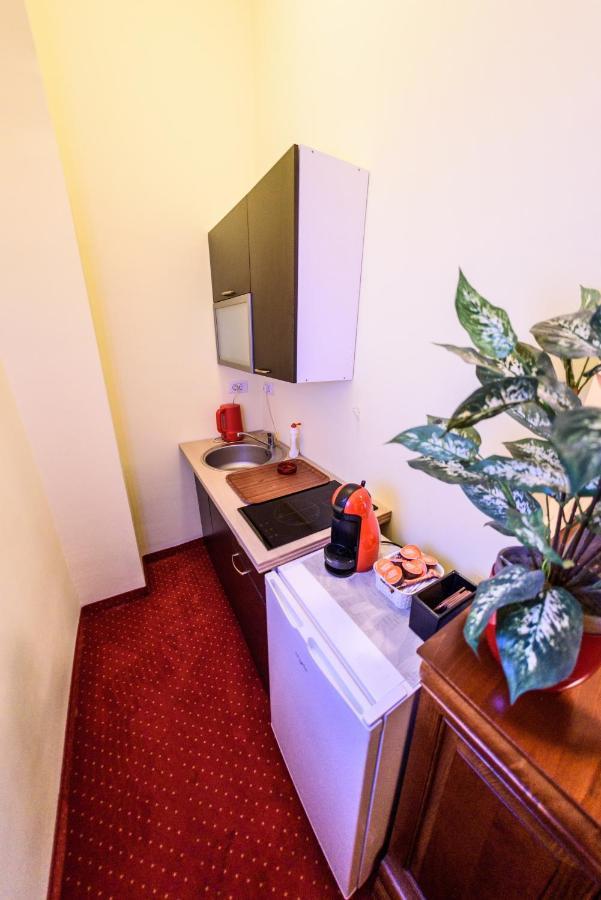 Apartament Baroc Temesvár Kültér fotó